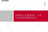 国产37页,深度解析我国科技发展的新篇章